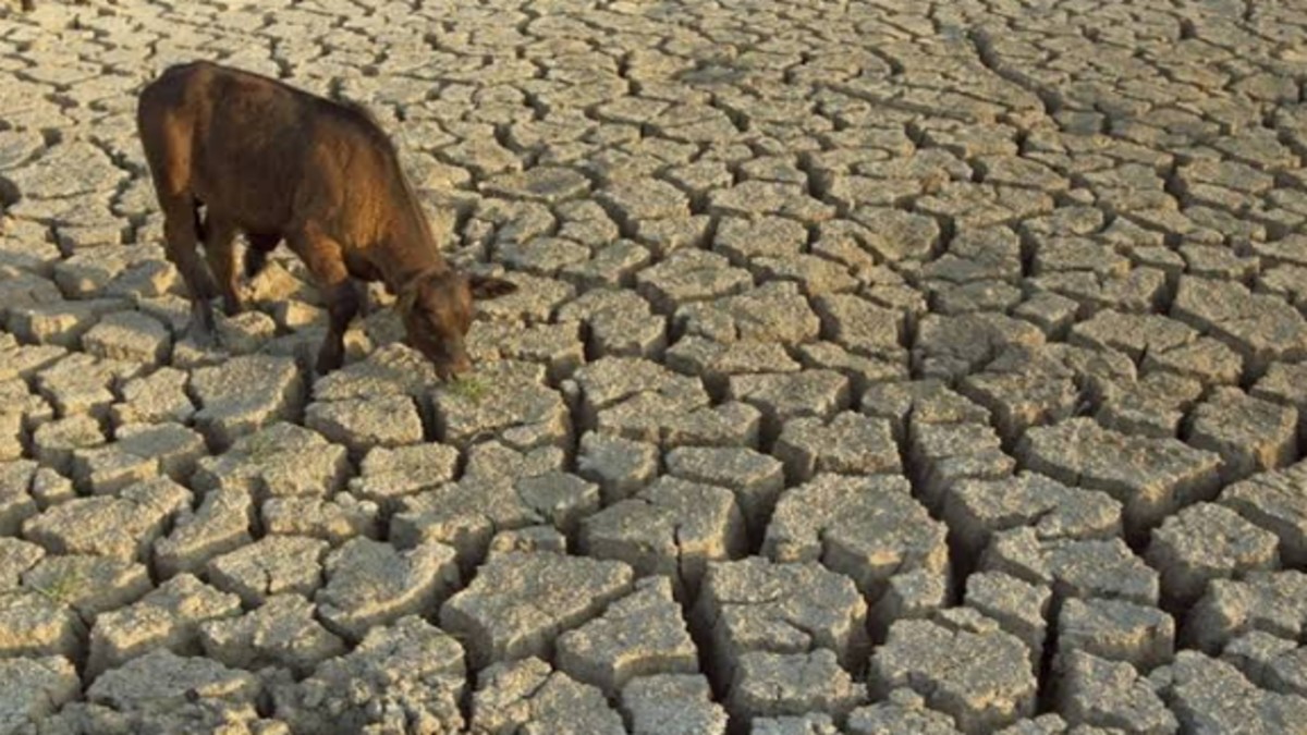 Maharashtra Drought Crisis Exposes Gaps in Long-Term Water Management